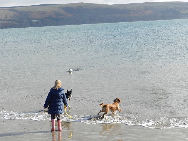 Holiday cottages which take dogs in Dumfries and Galloway