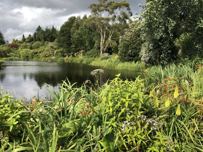 Loch with trees and shrubs at Glenwhan Gardens
