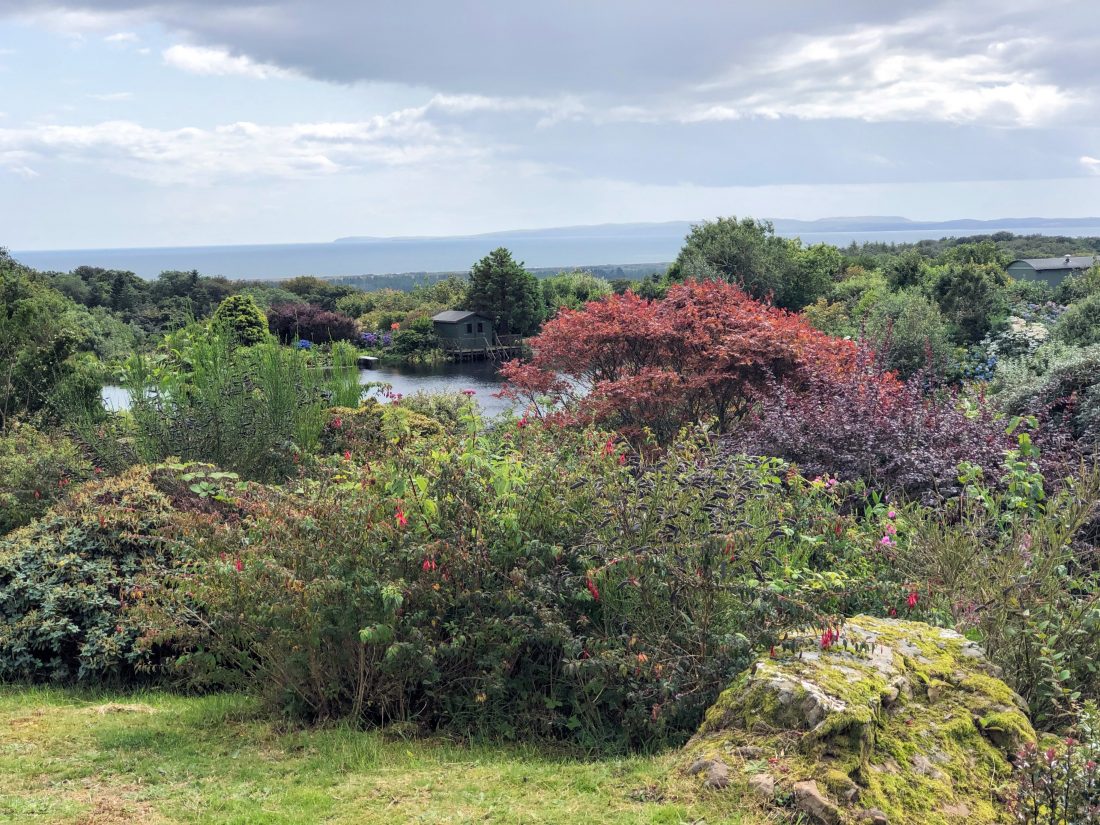 Beautiful trees and shrubs at Glenwhan Gardens with the sparkling sea of Luce Bay in the distance