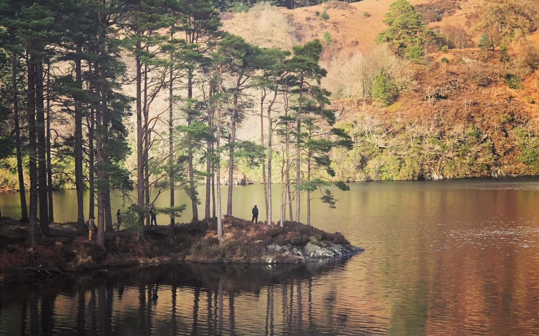 Loch with trees